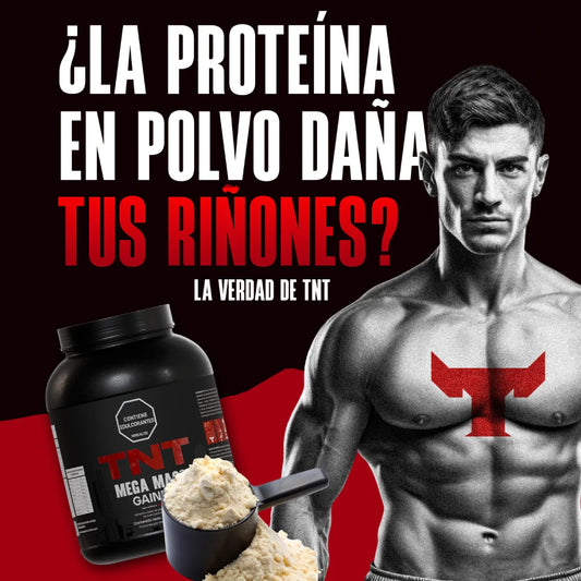 Mito Desmentido: ¿La Proteína en Polvo Daña tus Riñones? La Verdad de TNT
